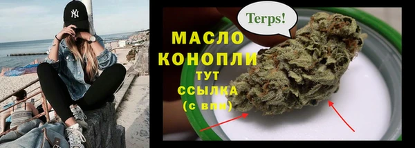 прущие грибы Аркадак