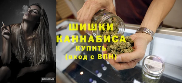 прущие грибы Аркадак
