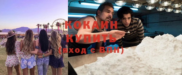 прущие грибы Аркадак