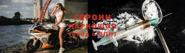 прущие грибы Аркадак
