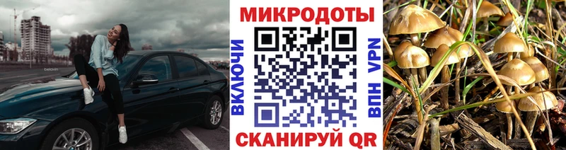 omg зеркало  Белебей  Псилоцибиновые грибы Cubensis 