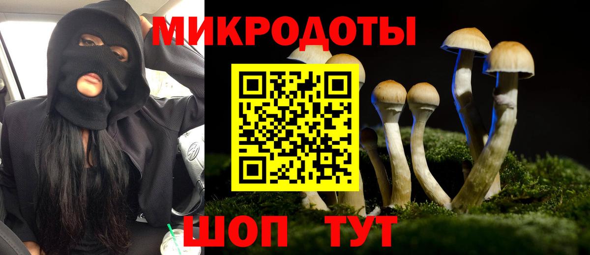 Галлюциногенные грибы Psilocybe  купить наркотики цена  Галлюциногенные грибы мухоморы  Белебей 
