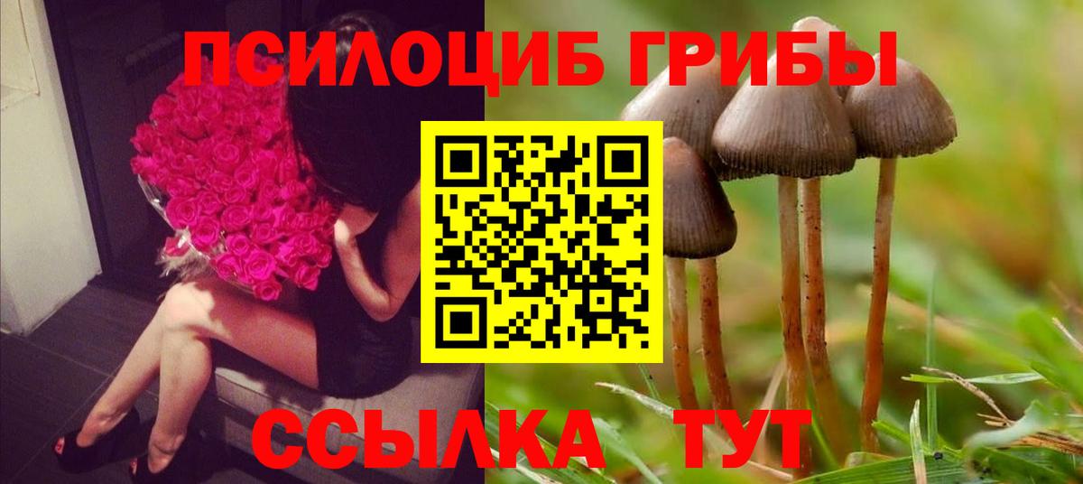 Галлюциногенные грибы мухоморы  Псилоцибиновые грибы MAGIC MUSHROOMS  Вход с VPN  Белебей 